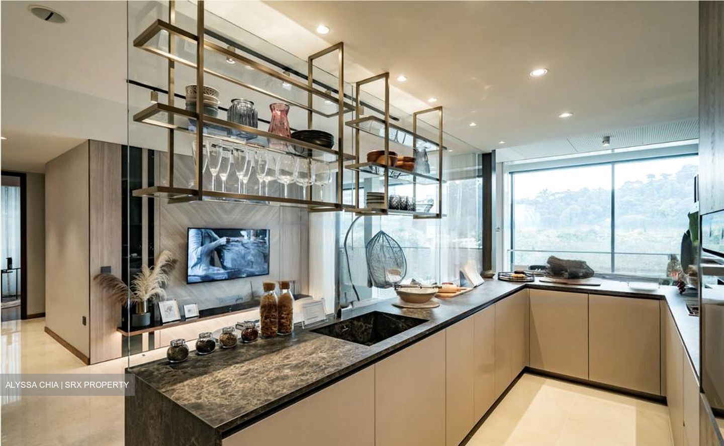 Palisades (D5), Condominium #537704511